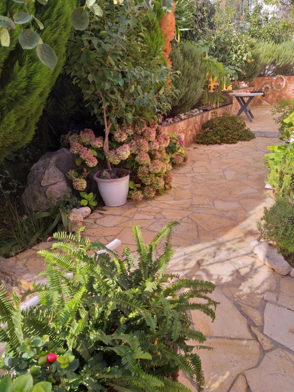 Guesthouse Villa Joanna&Mattheo Saranda Dış mekan fotoğraf